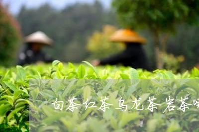 白茶红茶乌龙茶岩茶哪个好/2023041154849