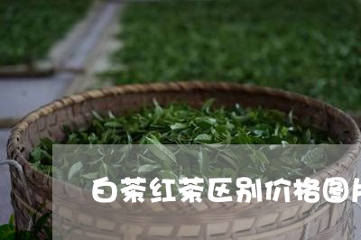 白茶红茶区别价格图片对比/2023041110494