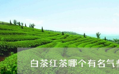 白茶红茶哪个有名气些好喝/2023041191594