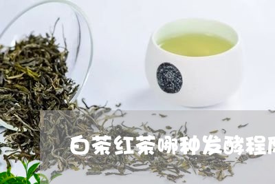 白茶红茶哪种发酵程度最低/2023041591839