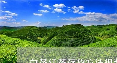 白茶红茶存放方法视频教程/2023041582836