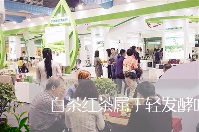 白茶红茶属于轻发酵吗对吗/2023041243938