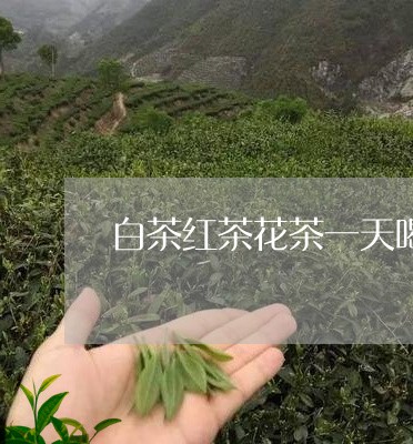 白茶红茶花茶一天喝一个边/2023041582806