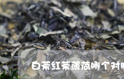 白茶红茶薄荷哪个对肌肤好/2023041284058