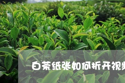 白茶纸张如何折开视频教学/2023041646371