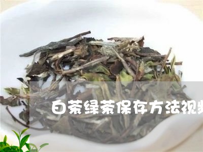 白茶绿茶保存方法视频教学/2023041662694