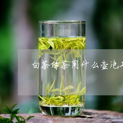 白茶绿茶用什么壶泡功夫茶/2023041654039