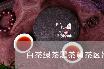 白茶绿茶黑茶黄茶区别图片/2023041689352