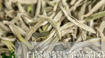 白茶绿茶黑茶黄茶区别大吗/2023041668692