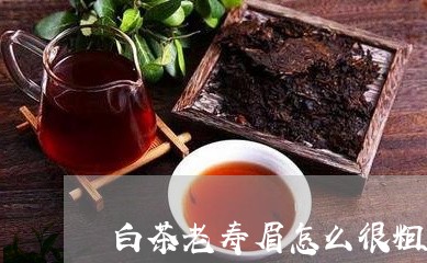 白茶老寿眉怎么很粗有茶梗/2023041676192