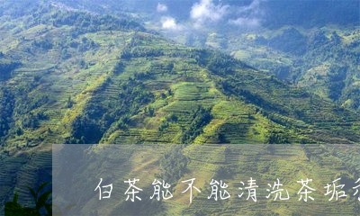 白茶能不能清洗茶垢和污垢/2023041651714