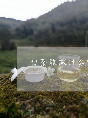 白茶能做什么饭食用的茶叶/2023041604846