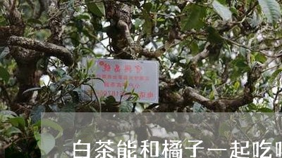 白茶能和橘子一起吃吗女生/2023041258724