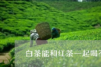 白茶能和红茶一起喝不好吗/2023041255947