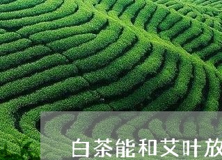 白茶能和艾叶放在一起煮吗/2023041272723