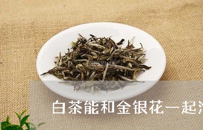 白茶能和金银花一起泡茶吗/2023041296482