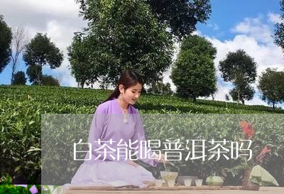 白茶能喝普洱茶吗/2023040106371