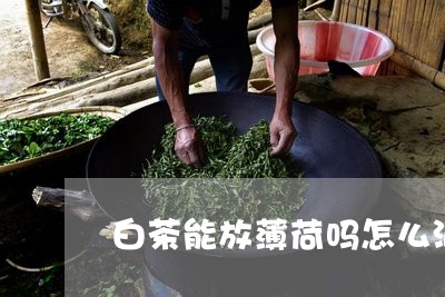 白茶能放薄荷吗怎么泡好喝/2023041555827