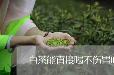 白茶能直接喝不伤胃吗/2023041287380