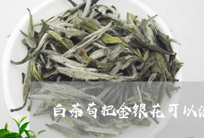 白茶苟杞金银花可以泡水吗/2023041248281