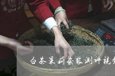 白茶茉莉套装测评视频教程/2023041284927