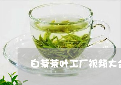 白茶茶叶工厂视频大全图片/2023041232504