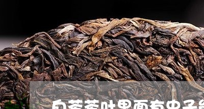 白茶茶叶里面有虫子能喝吗/2023041563703