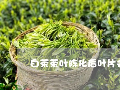 白茶茶叶陈化后叶片会薄吗/2023041234137