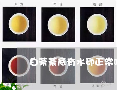 白茶茶底有水印正常吗/2023041297369