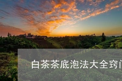 白茶茶底泡法大全窍门图片/2023041260592