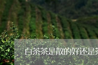 白茶茶是散的好还是茶饼好/2023041268371