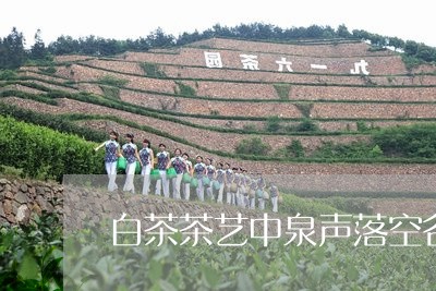 白茶茶艺中泉声落空谷是指/2023041618168