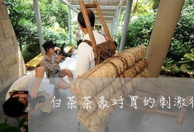 白茶茶豪对胃的刺激很大吗/2023041681515