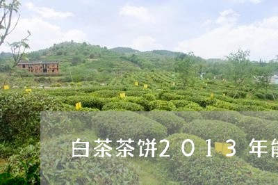 白茶茶饼2013年能喝吗/2023033151805