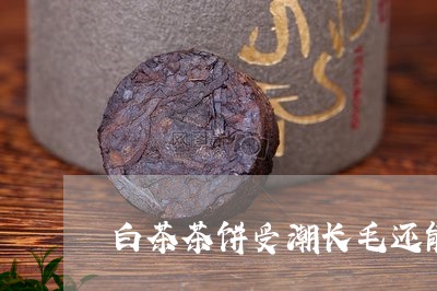 白茶茶饼受潮长毛还能喝吗/2023041662716