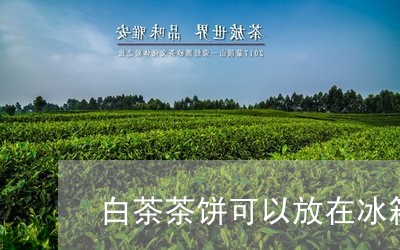 白茶茶饼可以放在冰箱保存/2023041673148