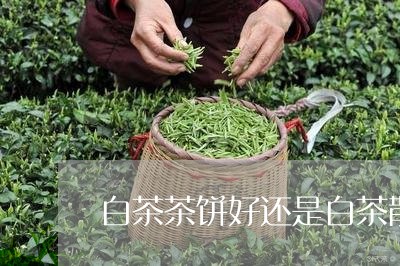 白茶茶饼好还是白茶散的好/2023041657169