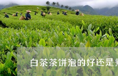 白茶茶饼泡的好还是煮的好/2023041631813