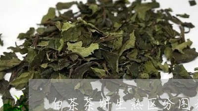 白茶茶饼生熟区分图表图片/2023041655836