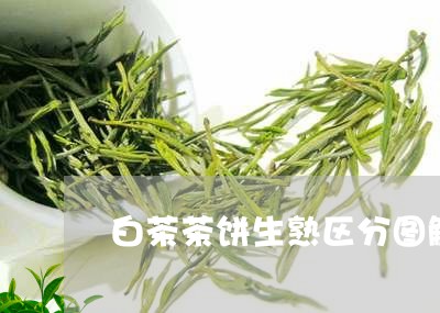 白茶茶饼生熟区分图解视频/2023041648402