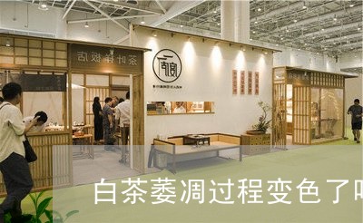 白茶萎凋过程变色了吗图片/2023041205147