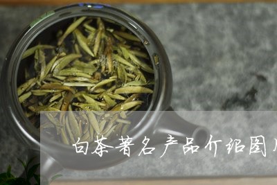 白茶著名产品介绍图片大全/2023041630381