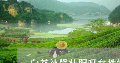 白茶补肾壮阳吗女性能喝吗/2023041618694