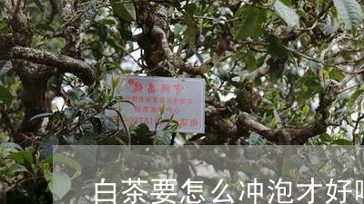 白茶要怎么冲泡才好喝窍门/2023041216271