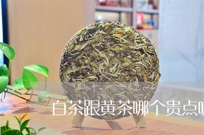 白茶跟黄茶哪个贵点呢好喝/2023041501686