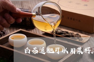 白茶追肥可以用菜籽油巴吗/2023041290705