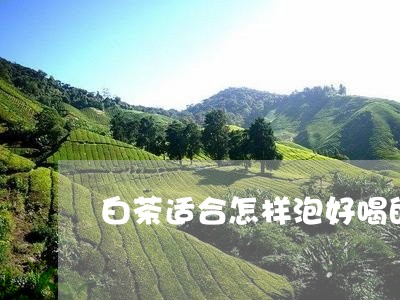 白茶适合怎样泡好喝的喝法/2023041231703