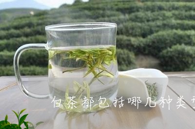 白茶都包括哪几种类型的茶/2023041246269