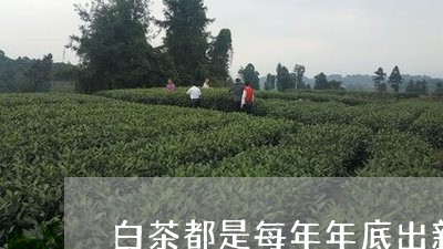 白茶都是每年年底出新品吗/2023041295049