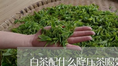 白茶配什么降压茶喝效果好/2023041675250